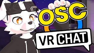 What is “OSC” in VRCHAT [upl. by Engvall985]