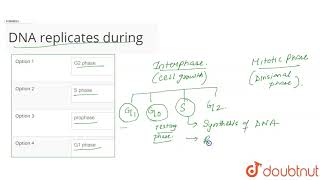DNA replicates during [upl. by Laverne653]