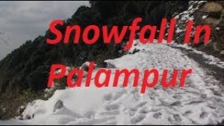 Snowfall At Palampur Himachal Pradesh 2019 [upl. by Noloc465]