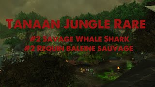 Savage Whale Shark  Requin baleine sauvage  WoW Rare  Tanaan Jungle  Jungle de Tanaan [upl. by Adlee]