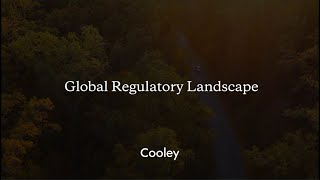 ESG Insights What You Need to Know Now – Global Regulatory Landscape [upl. by Babs789]