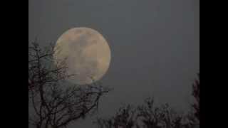 Super Moon 2011 [upl. by Ahtram]