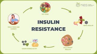 Insulin Resistance [upl. by Pasol32]