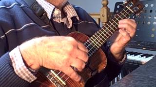 Space Oddity  Solo Ukulele  Colin Tribe on LEHO [upl. by Nomelc]