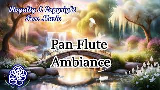 YF1012 Ambiance  Pan Flute [upl. by Emiolhs209]