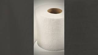 Cheese ❌ Toilet paper ✅ Send your friend a edit of toilet paper now toiletpaper [upl. by Enecnarf]