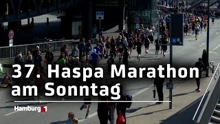 Über 30000 Läuferinnen und Läufer beim 37 Haspa Marathon erwartet [upl. by Barnaba]