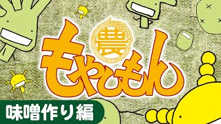 【漫画】いざ発酵！ 味噌はどうやってできるの？『もやしもん』味噌作り編【公式】 [upl. by Regdor]