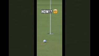 Golfers are just built different golf subscribe WOW spin [upl. by Attaymik431]