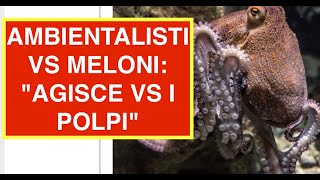 AMBIENTALISTI VS MELONI quotAGISCE VS I POLPIquot [upl. by Irneh]