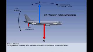 Straight and Level Flight  Chapter 40  Principles of Flight  CPL  ATPL  Pilot State [upl. by Nohpets]