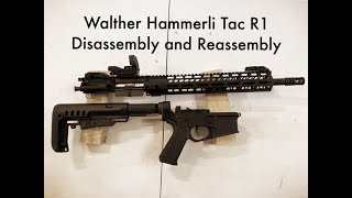 Walther Hammerli Tac R1 Disassembly and Reassemble thelefthandedshooter99 [upl. by Etneciv]