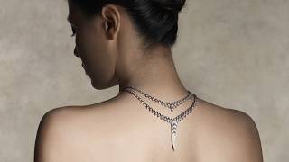 Stylized jewelry portraiture with HsinYa Lin and Profoto Softboxes [upl. by Inram662]