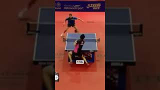 Crazy Defense Guy 🥵 pingpong tabletennis tenisdemesa tischtennis shorts [upl. by Gierc]