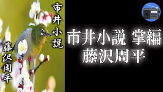 【朗読】「市井小説 掌編（如月）」江戸の十二カ月を鮮やかに切りとった掌篇集 “江戸おんな絵姿十二景”。著者最後の作品集！【時代小説・歴史小説／藤沢周平】 [upl. by Imeon985]