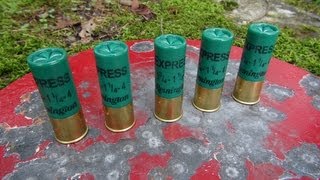 12 GAUGE 2 34quot 4 SHOT GEL TEST [upl. by Anastas]