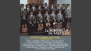 LA RONDALLA DE SALTILLO  TEMA DE HISTORIA DE AMOR [upl. by Nnylkoorb]