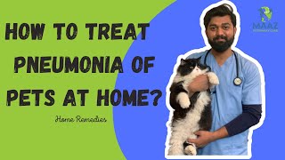 How to Treat Pnemonia of Pets at Home  pneumonia catlover veterinary cattreat veterinarian [upl. by Dagley48]