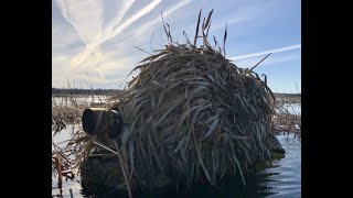 The floating hide  ultimate photography water blind hide [upl. by Lagasse]