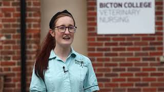 Study Veterinary Nursing at Bicton College [upl. by Rasla]