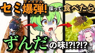 【昆虫食】セミ爆弾を爆弾料理にして食べよう！味はまるで「ずんだ餅」【ずんパラ投稿祭Z】【ENG SUB】 [upl. by Vola]