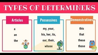 What is A Determiner Types of Determiners in English  Urdu Hindi Grammar Lecture 4 [upl. by Tada665]