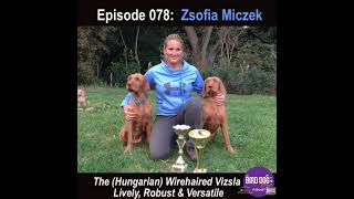 Episode 078 The Hungarian Wirehaired Vizsla w Zsofia Miczek [upl. by Nyrtak]