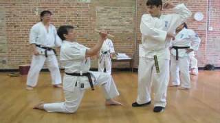 Thousand Waves  Adapted Seido Karate Promotion Test [upl. by Asiel]