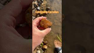 Continuing Carnelian Oregon explore nature find rock crystal fyp pnw hiking [upl. by Groark393]