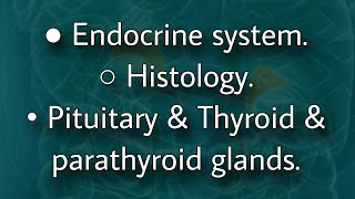 Endocrine histology  pituitary amp thyroid amp parathyroid glands [upl. by Heddi]