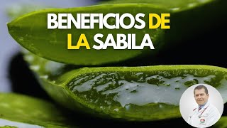 Beneficios que no conocías de la sábila Dr Javier E Moreno [upl. by Irrehs673]