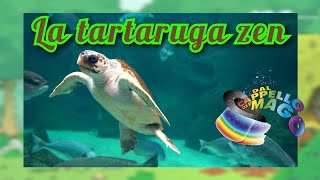 La Tartaruga Zen 🐢 La Magica Fattoria 🏡 [upl. by Gnos]