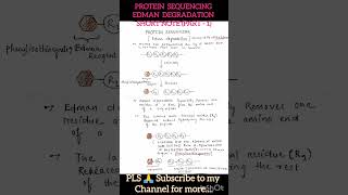 Edman degradation  protein sequencing Short note part1 [upl. by Neve]