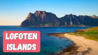 The Best Places to Visit in Lofoten Islands Norway in 4K  What to See in Lofoten in Summer [upl. by Jd659]