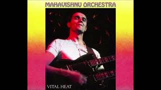 Mahavishnu Orchestra Birds Of Fire 1973 [upl. by Imrots]