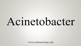 How To Say Acinetobacter [upl. by Elbag]