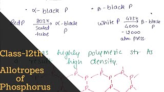 Allotropes of phosphorus  full concept   p block Elements  Class12th  Bharat Panchal [upl. by Africah]