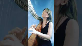 quotCloudbustingquot Kate Bush Harp Cover [upl. by Annnora739]