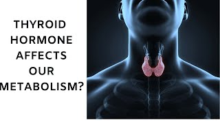 HOW DOES THYROID HORMONE AFFECT METABOLISM How does t3 and t4 affect metabolism [upl. by Leonore]