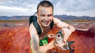 I stayed 24 Hours on Lake of Dead  Lake Natron Animals turn to Stone  Lake Natron Tanzania [upl. by Holleran935]