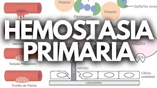 HEMOSTASIA PRIMÁRIA HEMATOLOGIA [upl. by Malaspina]