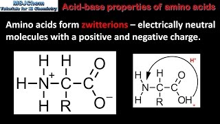 B2 Acidbase properties of amino acids SL [upl. by Narag]