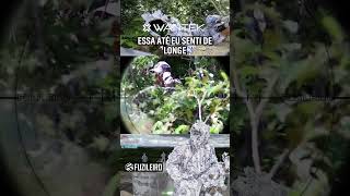 AIRSOFT na Neve  Guerra ao Terror 3  Euclides da Cunha  BA  FUZILEIRO SNIPER [upl. by Nalyad]