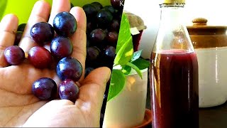 മുന്തിരി വൈൻ  Homemade Grape Wine Malayalam  How to Make Wine at Home [upl. by Bullion]