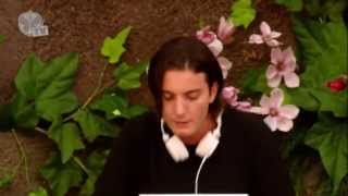 Tomorrowland 2013  Alesso Years  live HD [upl. by Ahrendt]