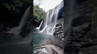 Waterfall 🌿travel nature srilanka [upl. by Areyk]