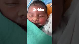 Stridor in newborn  Shorts  neonatology nicu neonates [upl. by Direj]