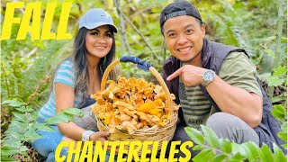 Wild Chanterelle Mushroom Hunting  How to Find amp Forage  Yellow Chanterelles all Over [upl. by Judd]