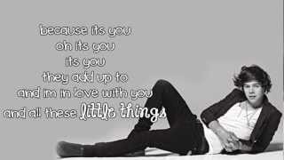 One Direction  Little Things lyrics [upl. by Anelim]