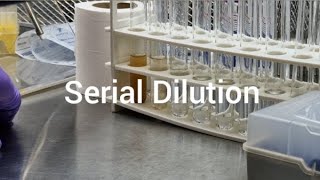 Serial Dilution  What is serial dilution  How to do it [upl. by Isla392]